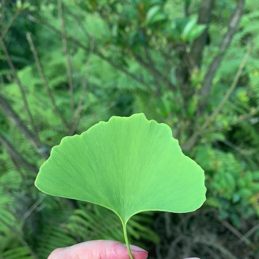 小苏好物分享