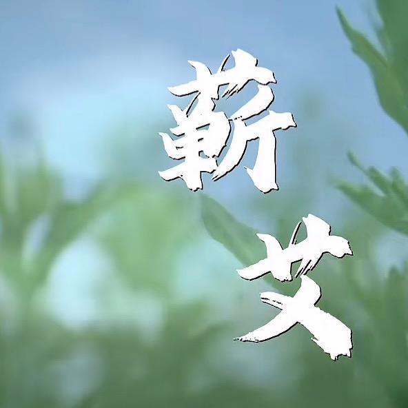 湖北蕲艾源头厂家