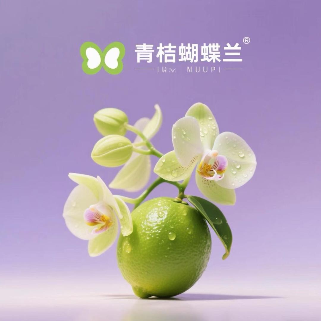 青桔蝴蝶兰