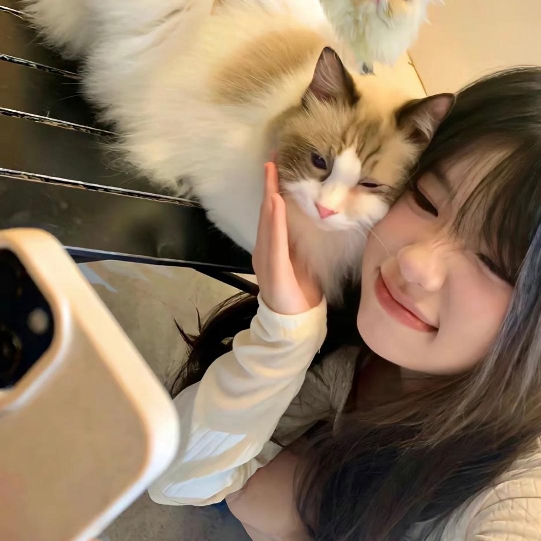 晚睡小羊