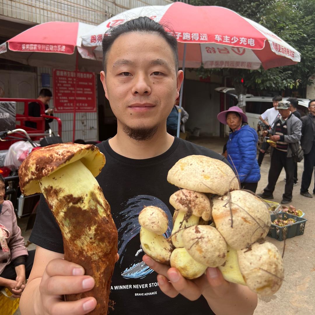 菌王子