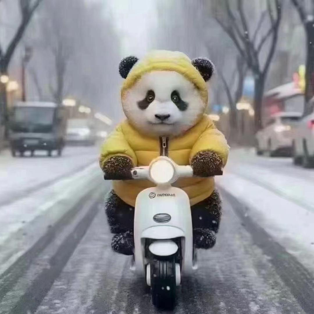 兔子爱睡觉（减肥中）