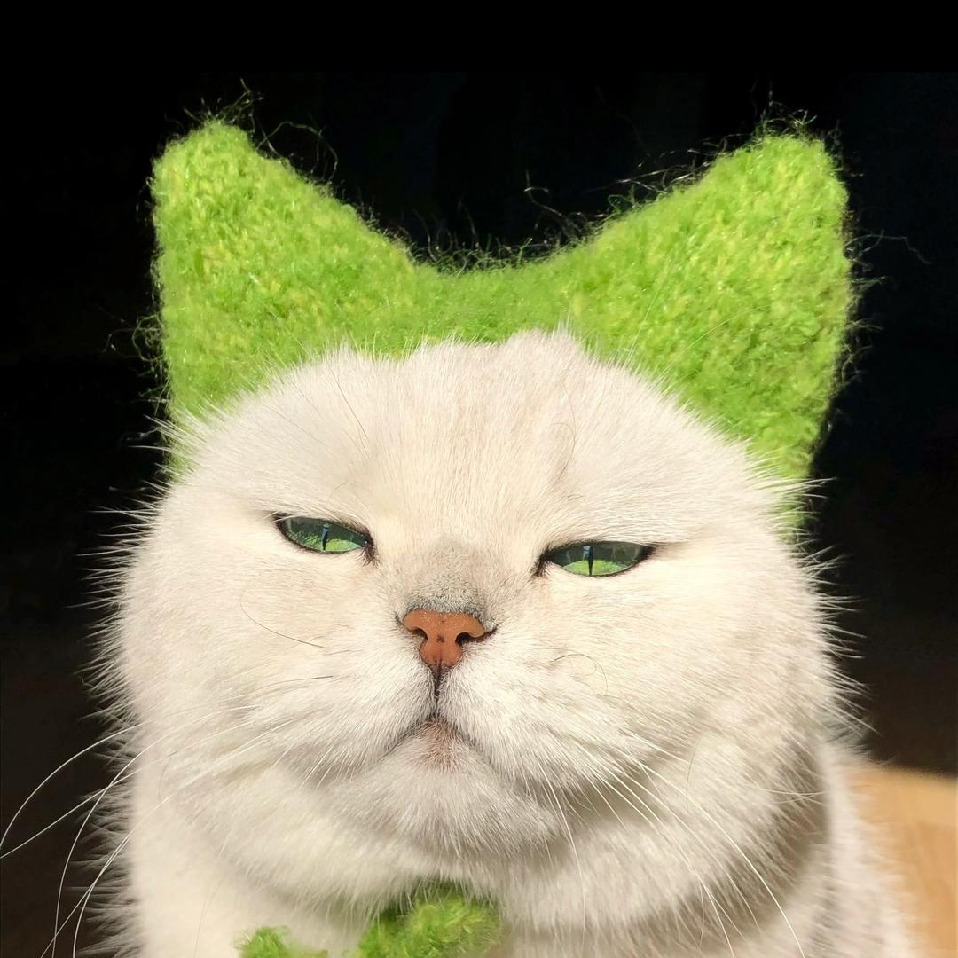 🫐¹⁶⁸⤴︎☏🦋