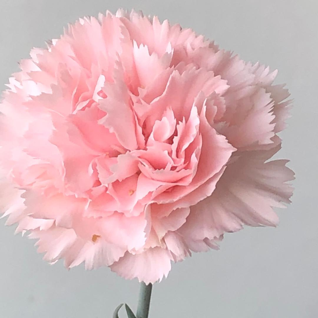 我就是我