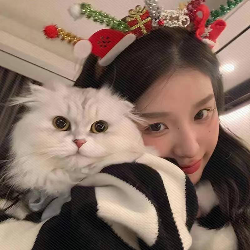 知知不吃香菜