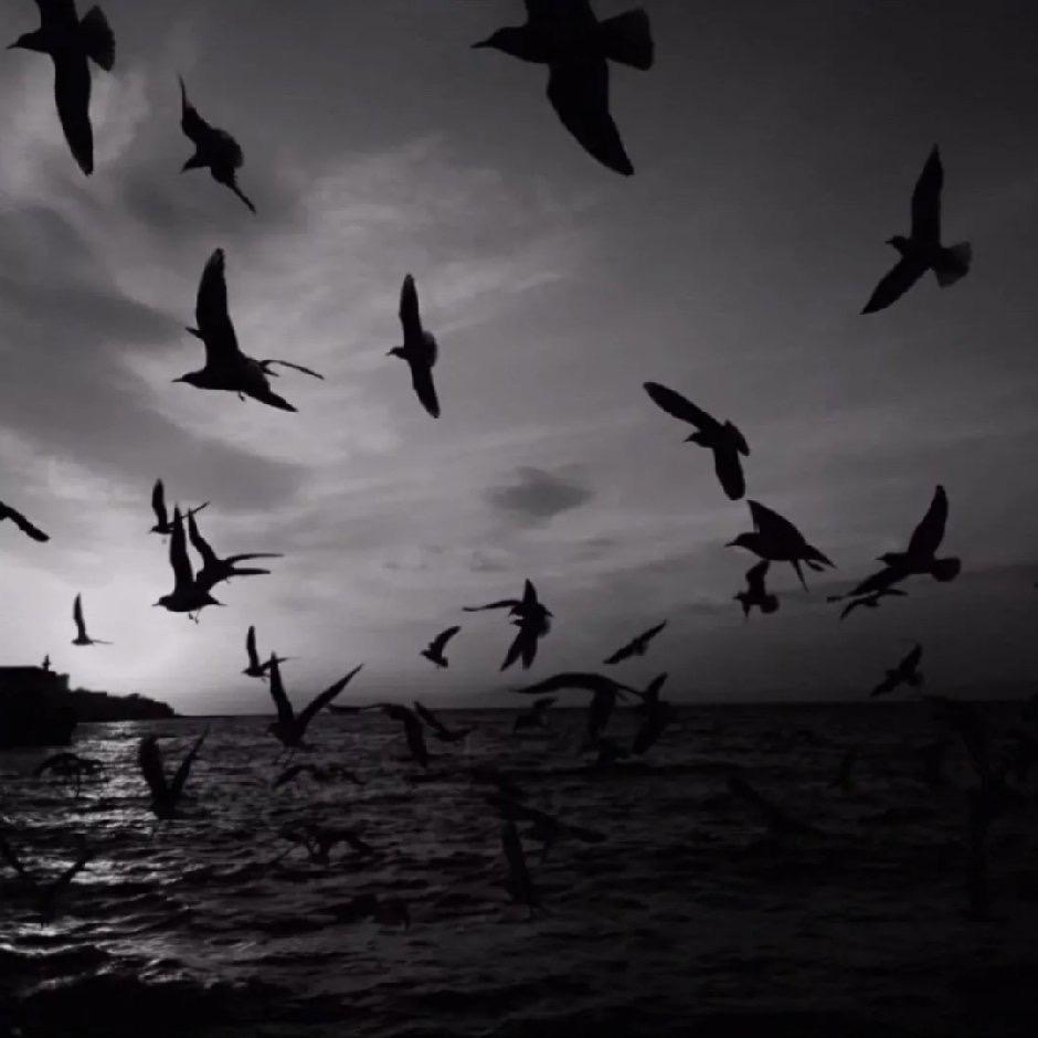 AbysS