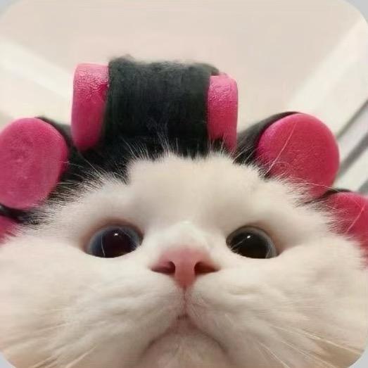 不熬夜