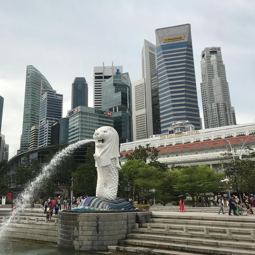 毛兄