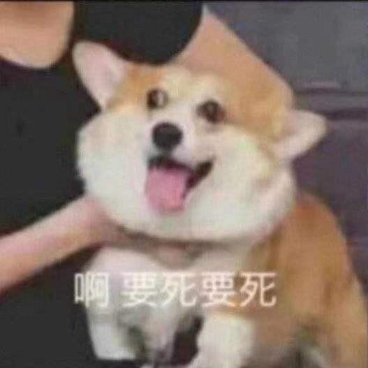 朝阳小李贴膜📱