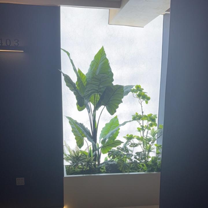 榴莲 • 𝓱
