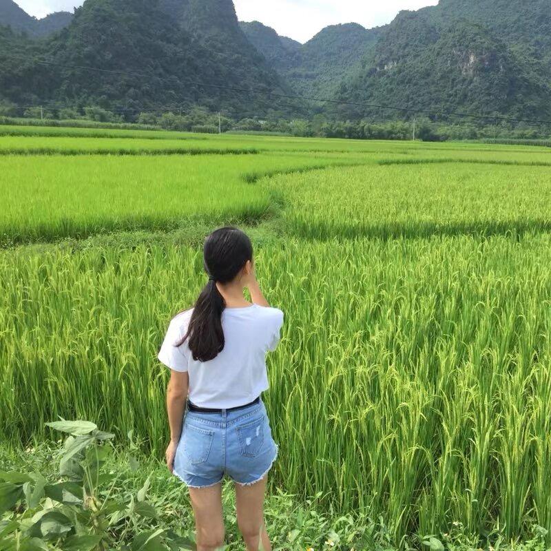 🧚‍♀️南方姑娘
