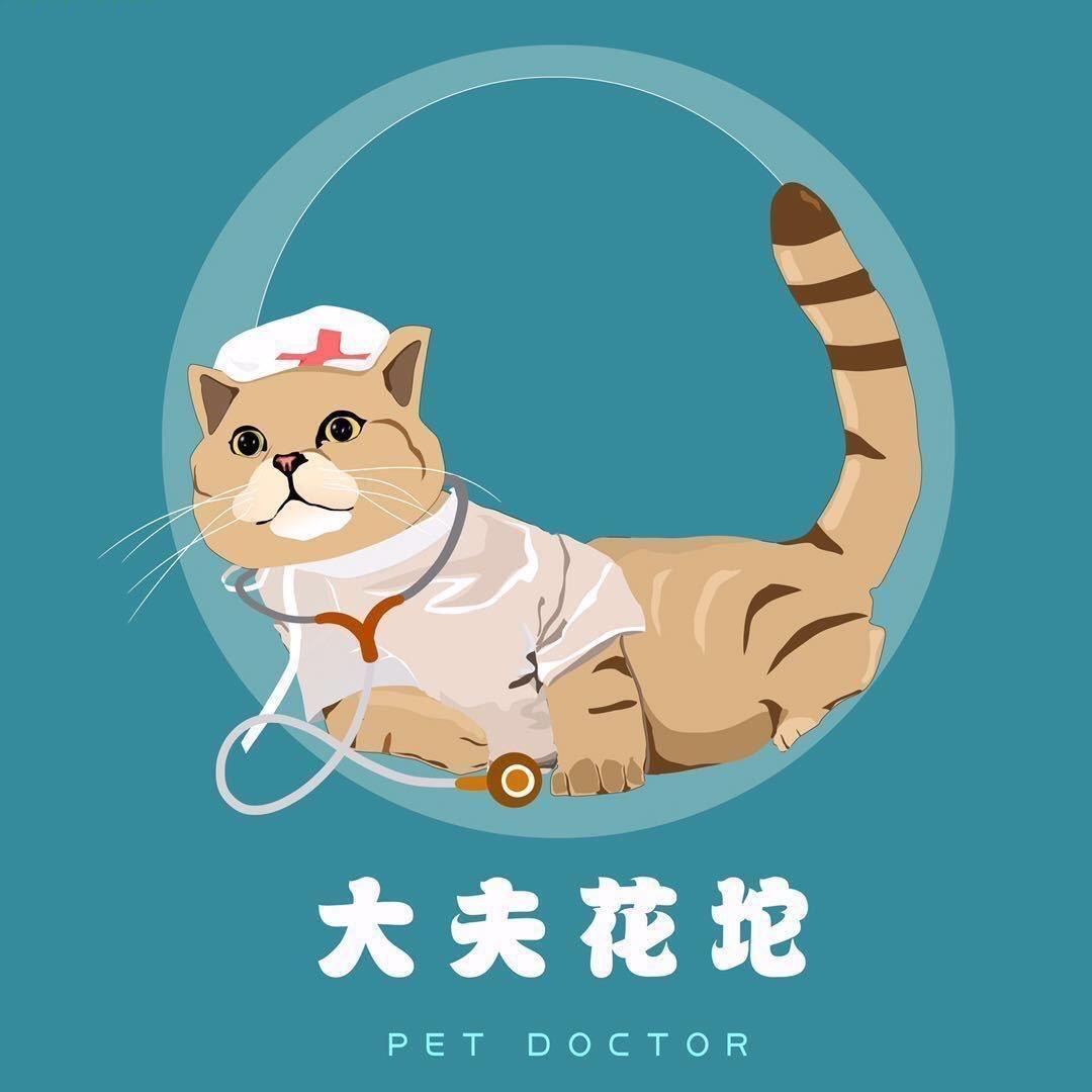 花坨和他的朋友们