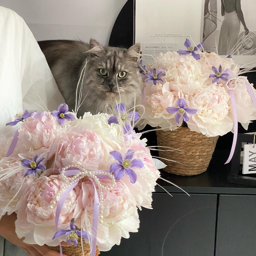 小小花间in forest（花间森林