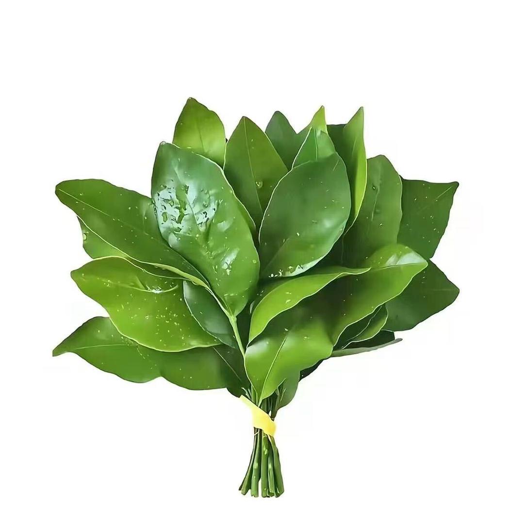 倒霉荷包蛋