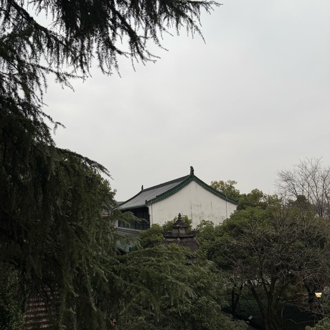 梁梁梁呀@