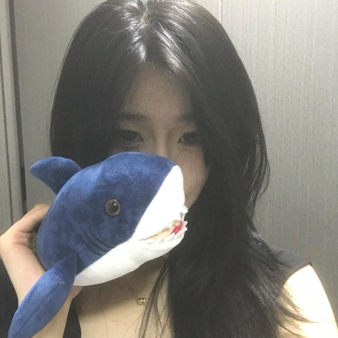 躺在被子里的猫