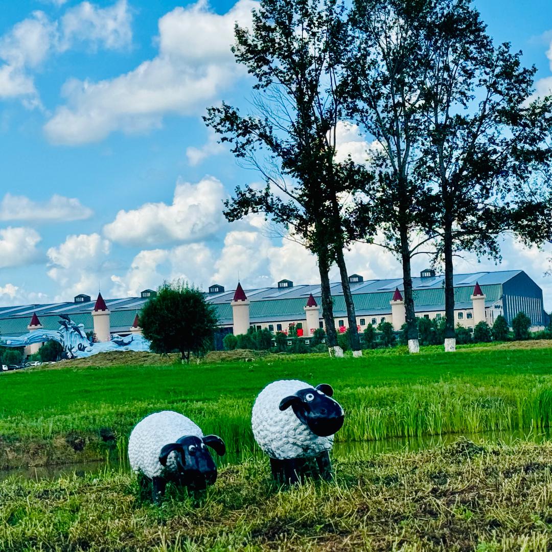 鱼的记忆ʚ🤓ɞ ᥫᩣ🌸