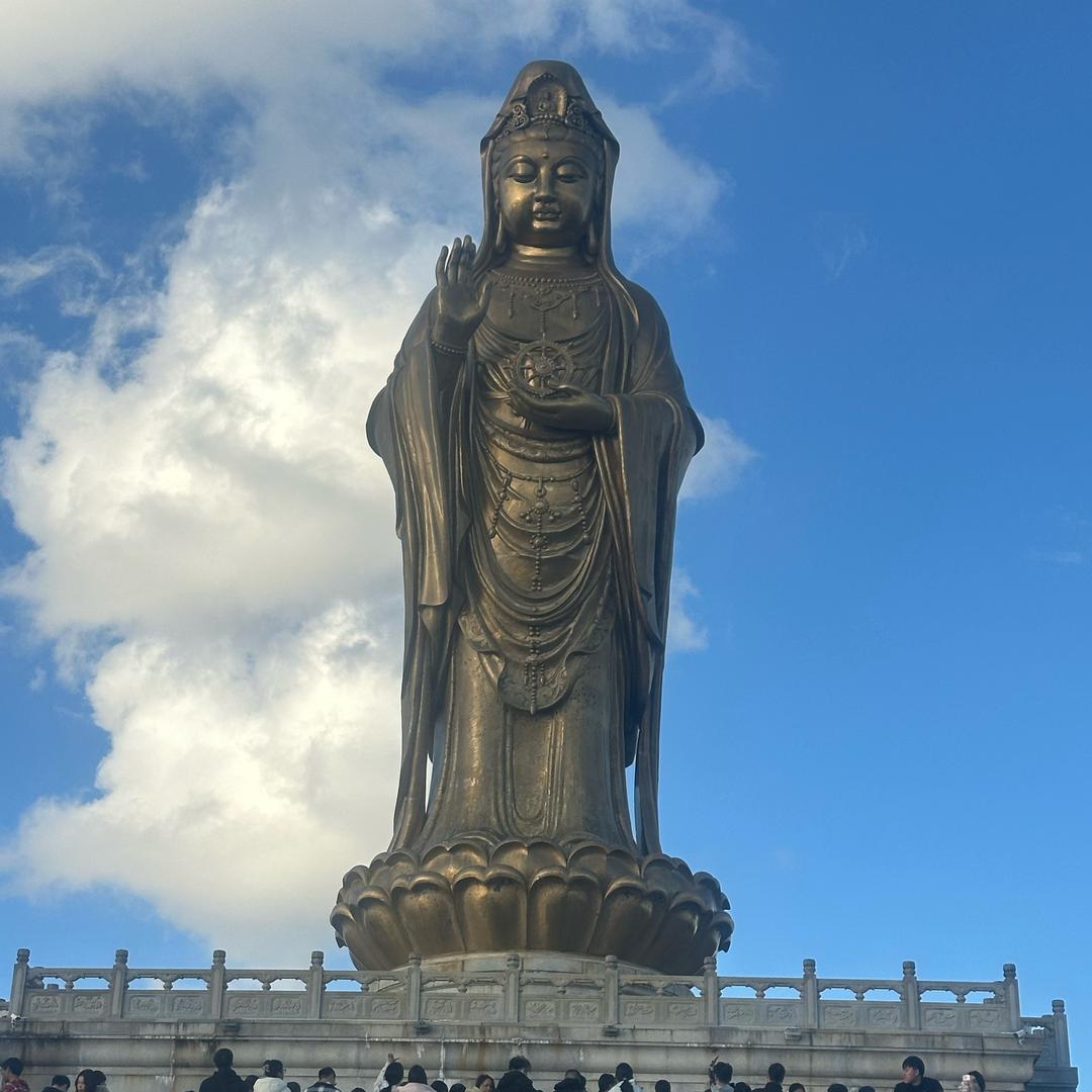 缘订今生