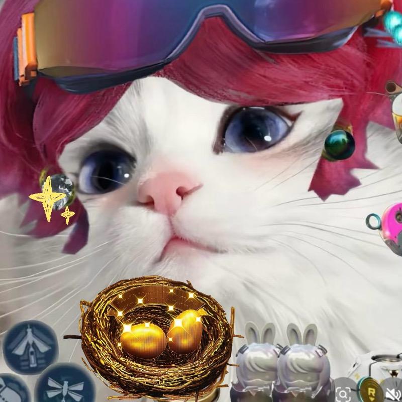 肉丝（黄金鸟窝-著啵自带八个协议箱）