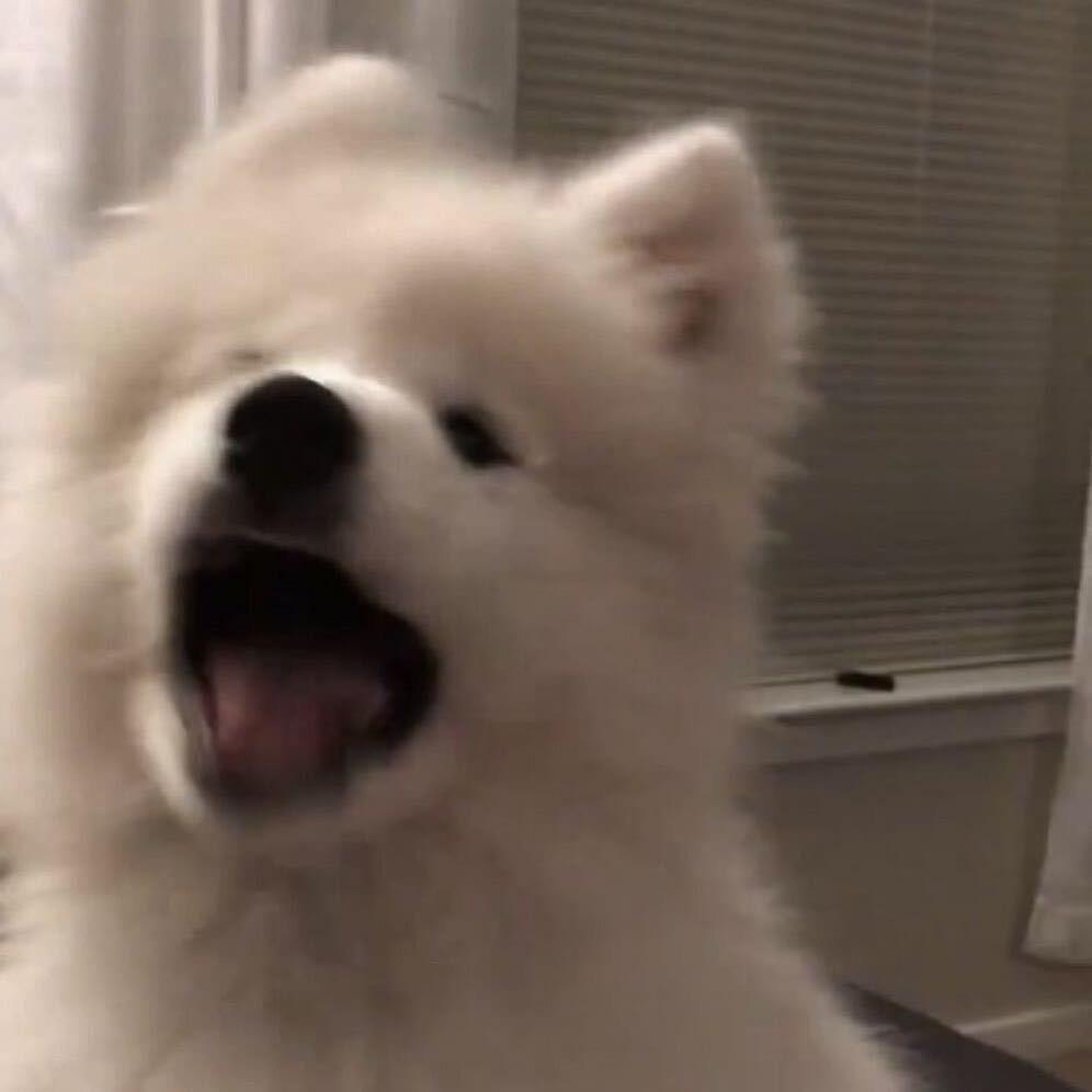 慢慢.