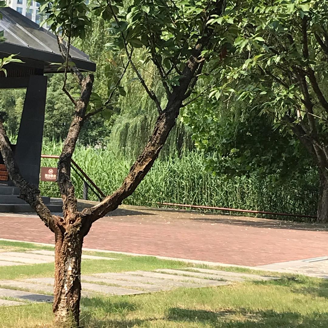 子林国学