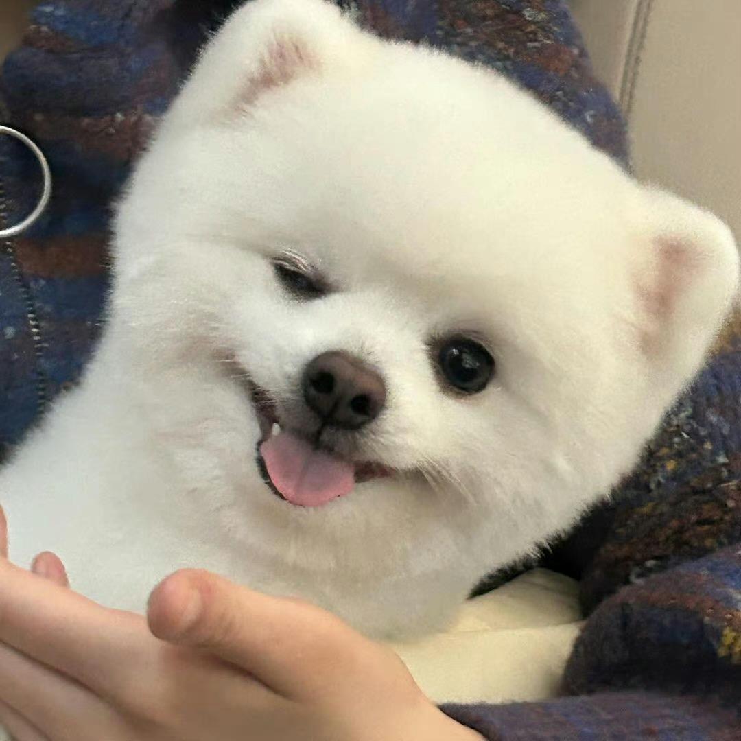 食在广州