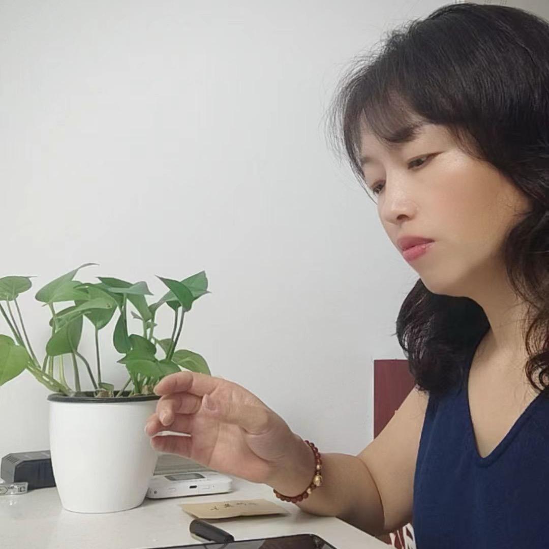 无菲是你