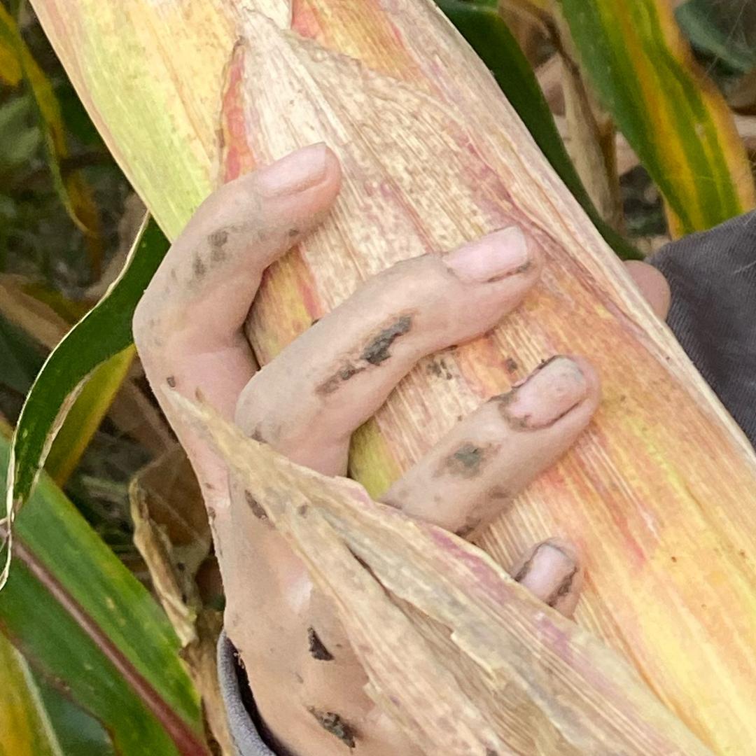 1m9.