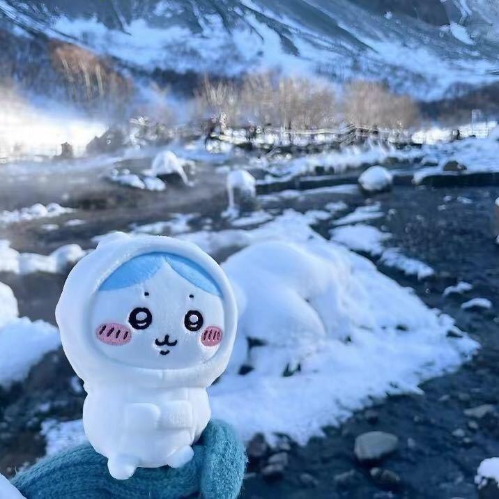 猫印函爪^🐾