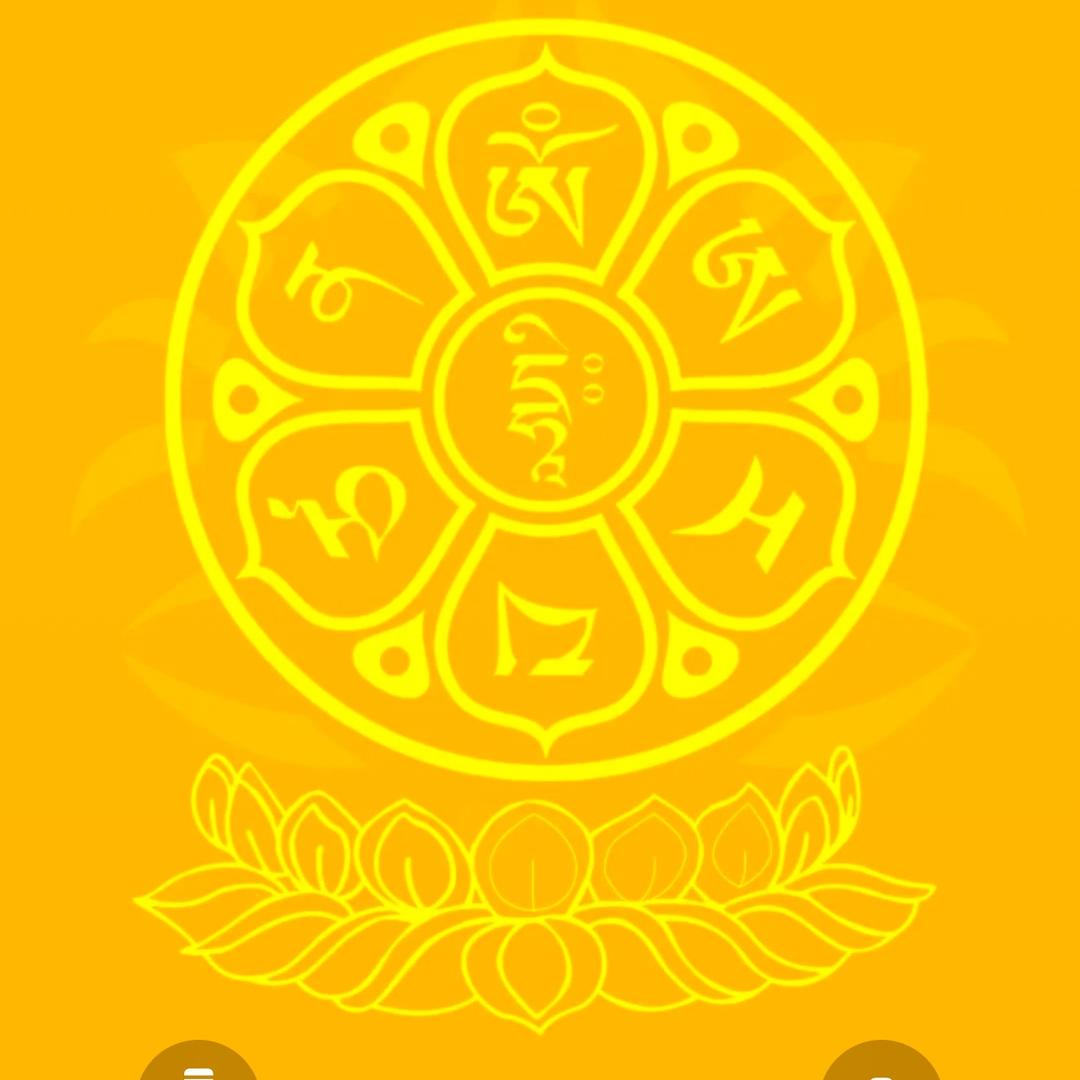大涛鲜果桂炎