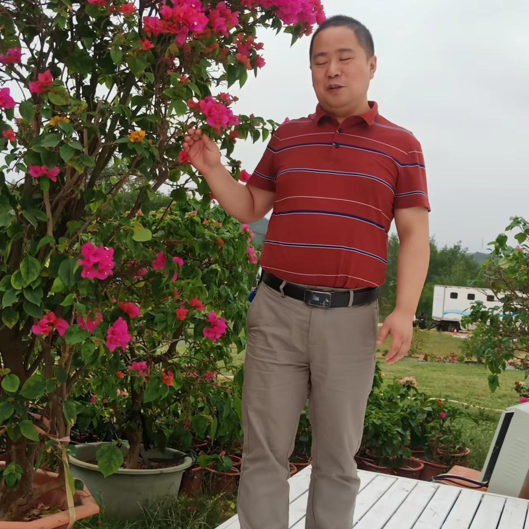 枝城何先生