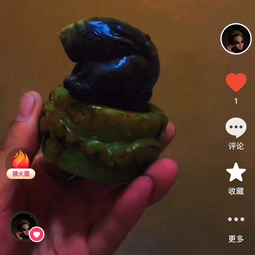 收藏爱好者