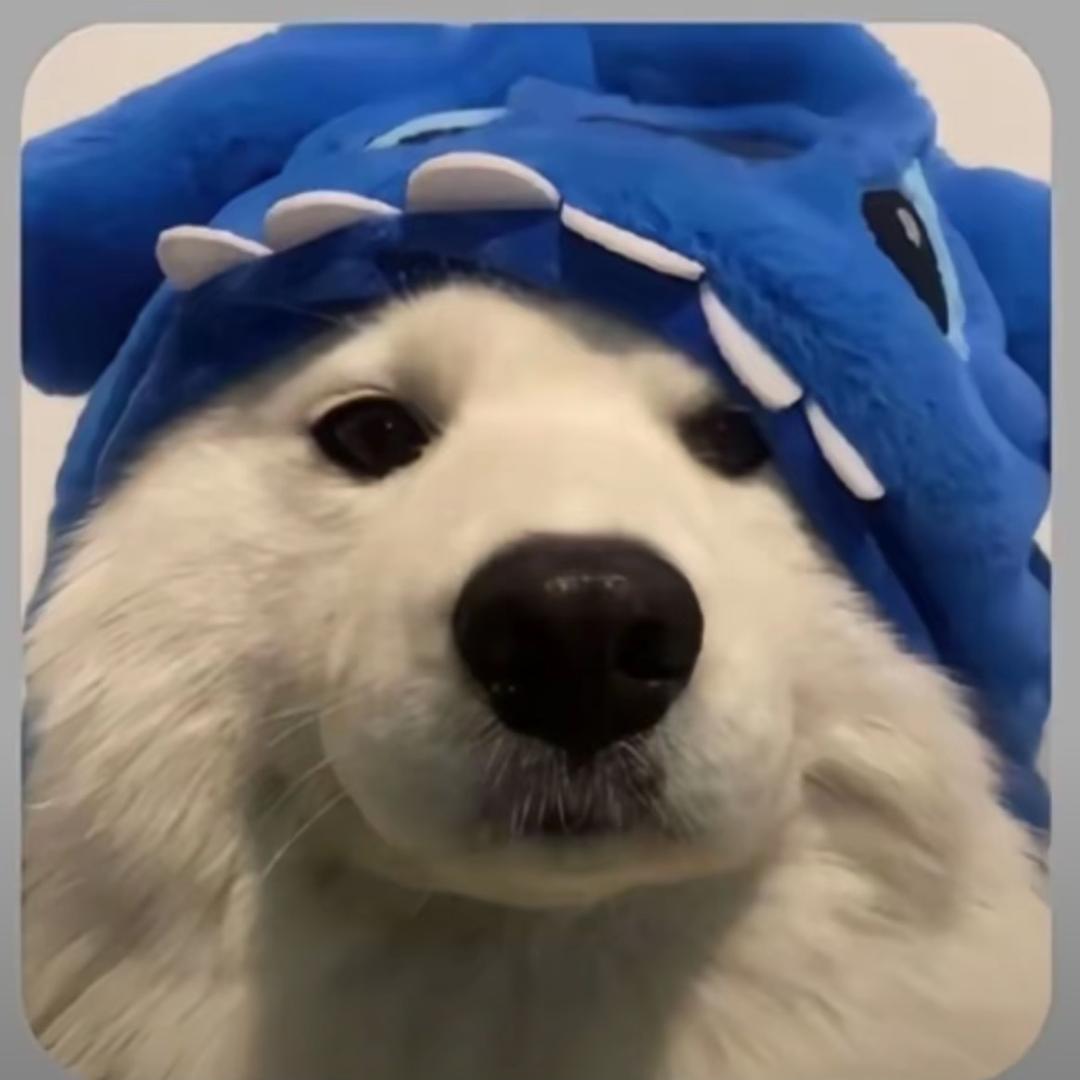 奶块-健酱（拉普达）