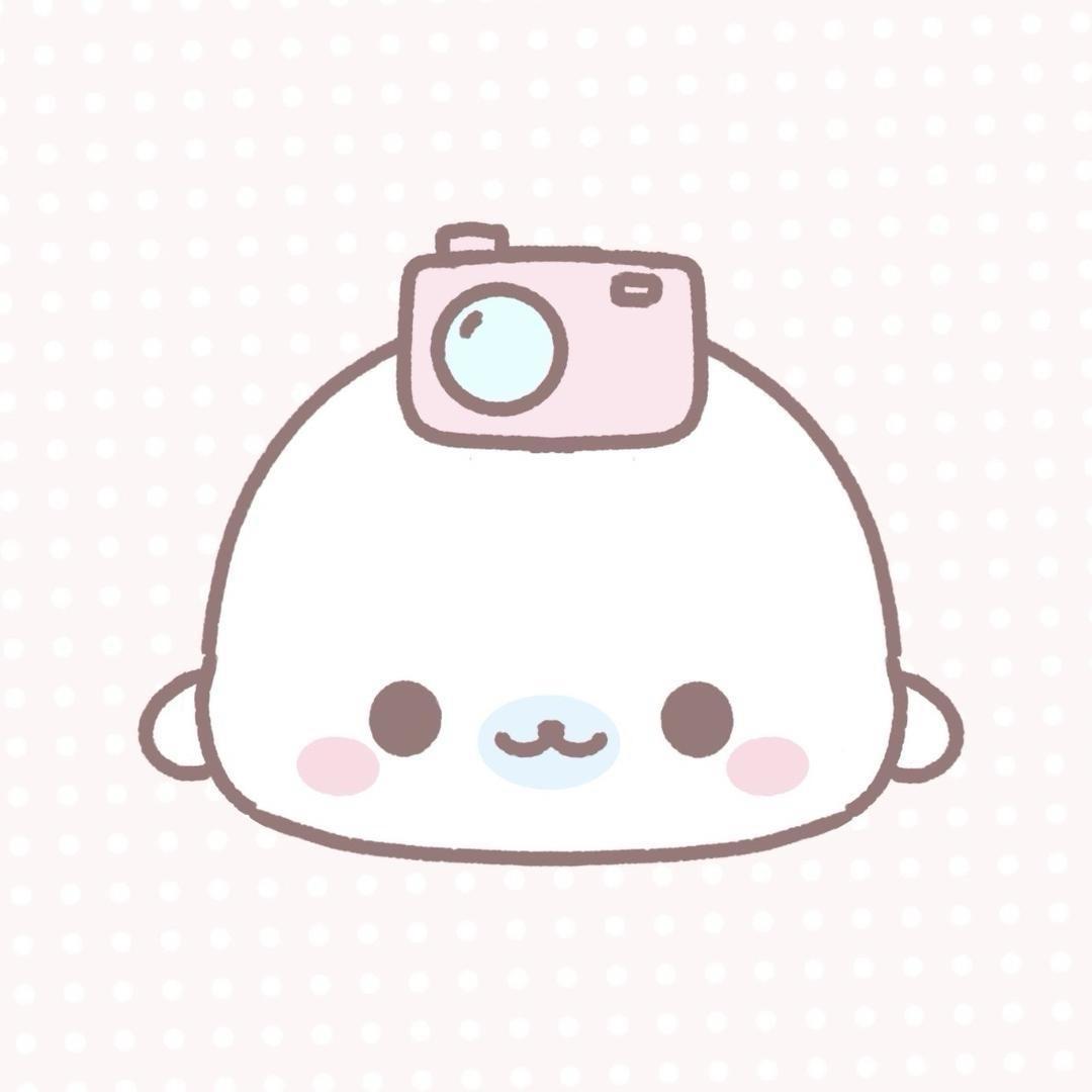 Tulip禾风里（ccd）相机