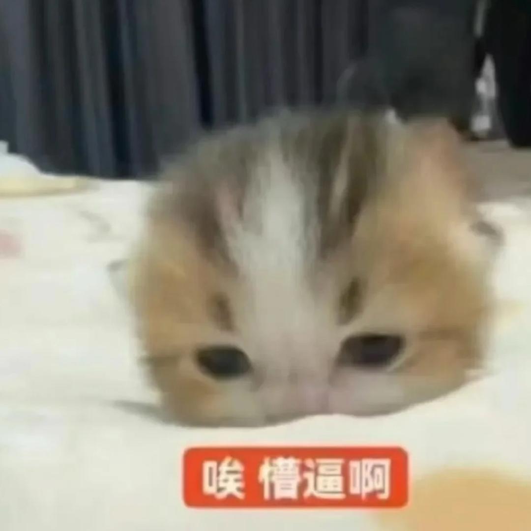 冰冰冰冰冰