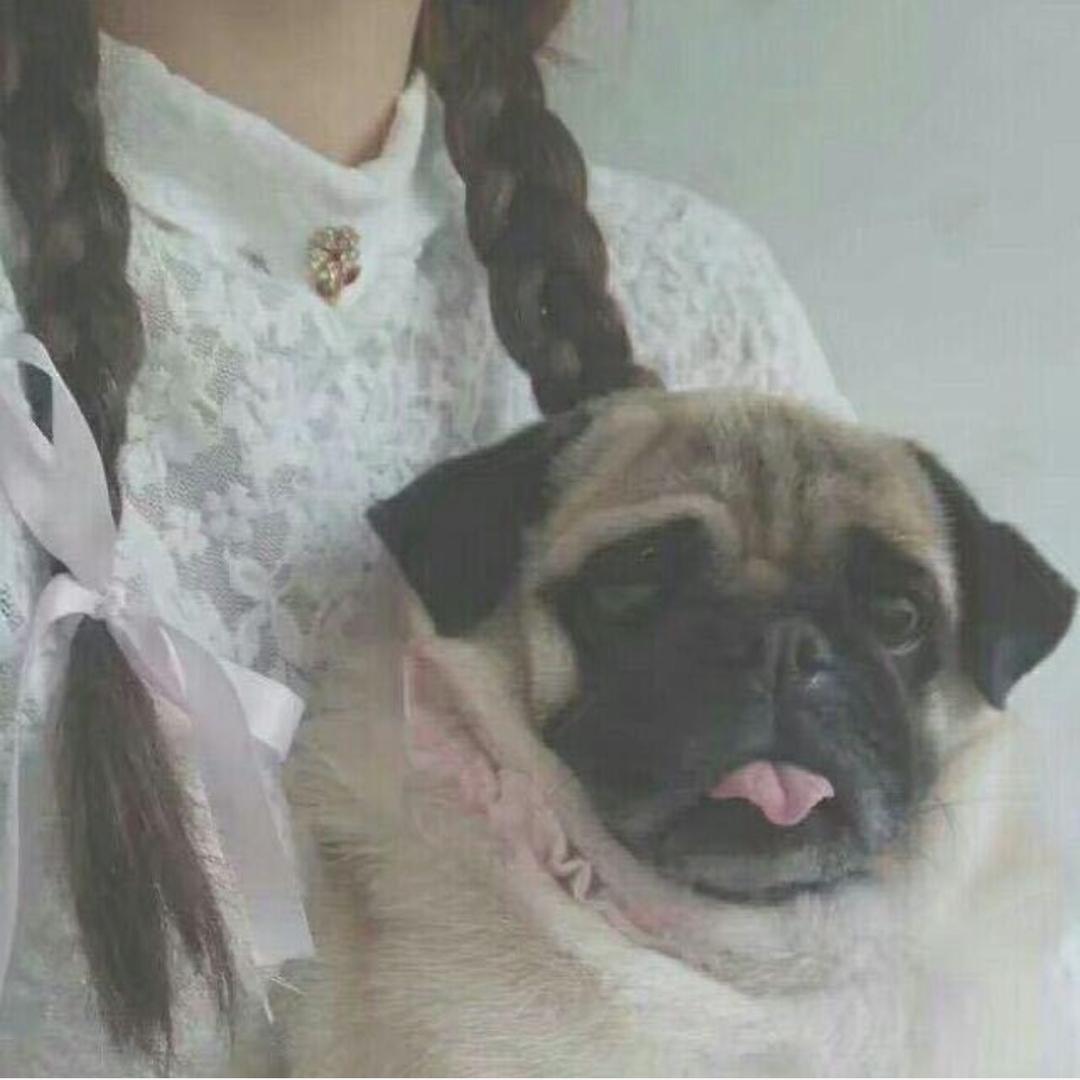 痔疮女神