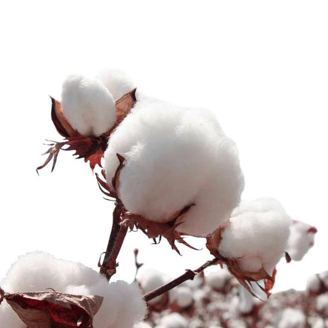 新疆棉花被产地直发