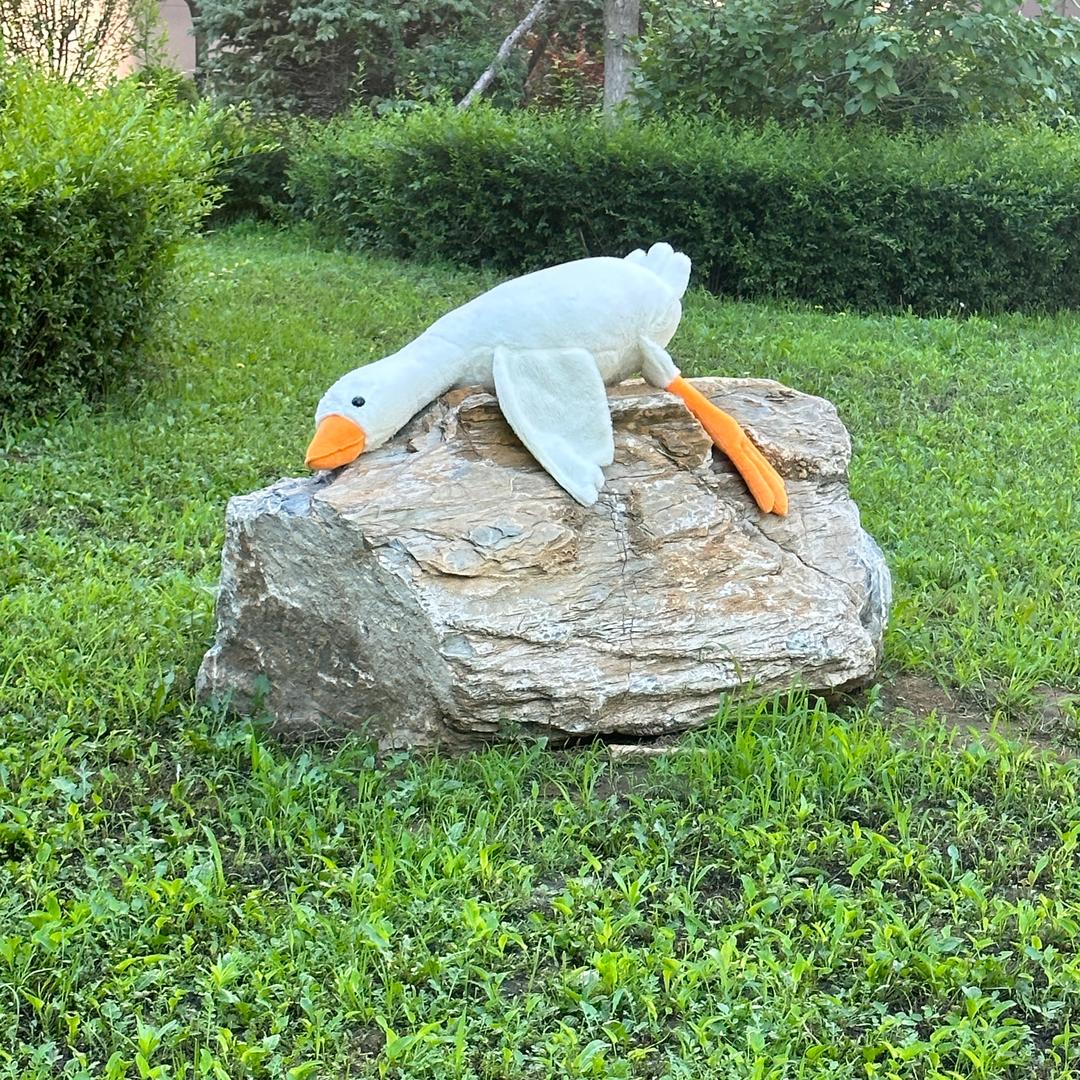 Jia-（无业游民版）