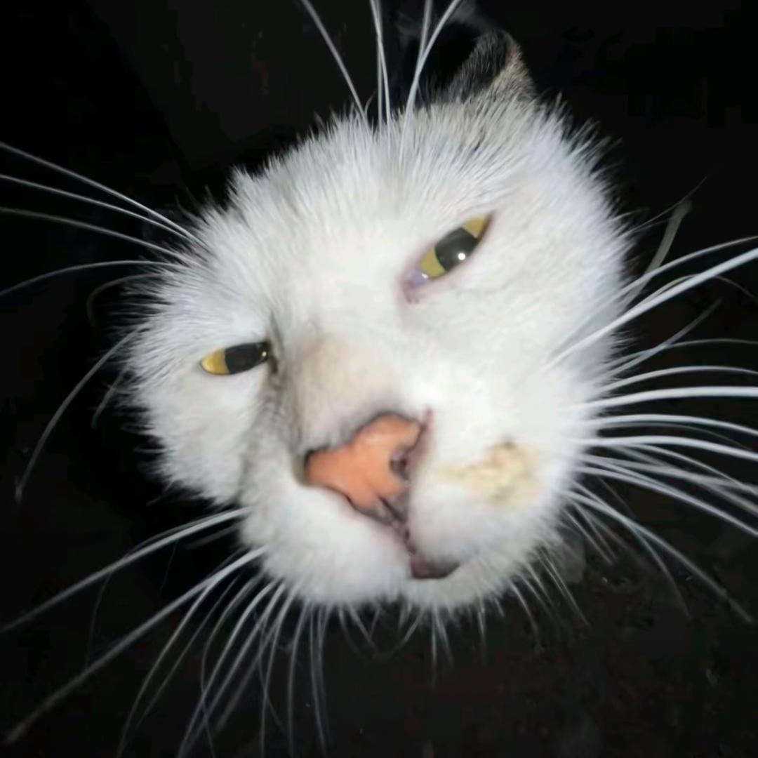 你盐津虾嘛，闪到我了