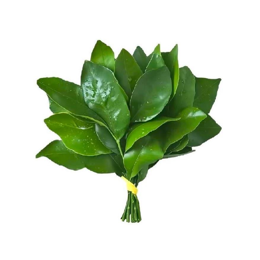 被狗咬后半年不敢出门。