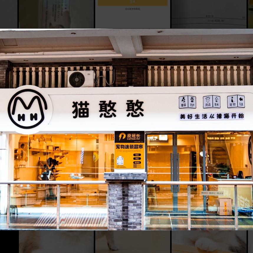 万州猫憨憨宠物美容洗护
