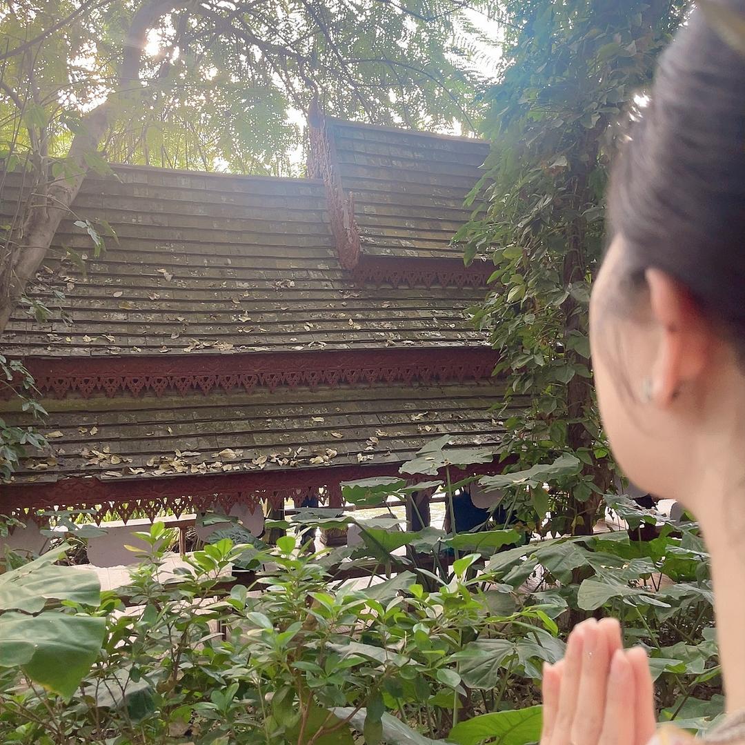 小燕子-穿花衣