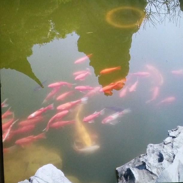 花样年华