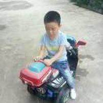 朱大姐，养峰人