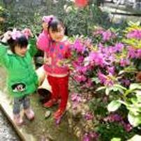 一生无悔