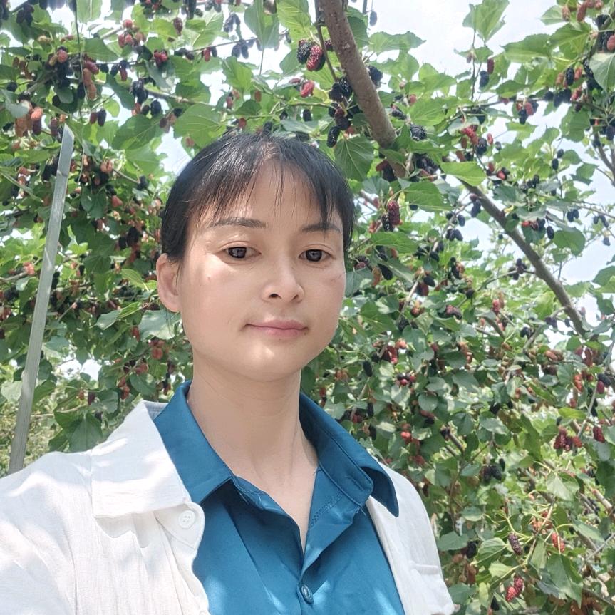 陈婷婷
