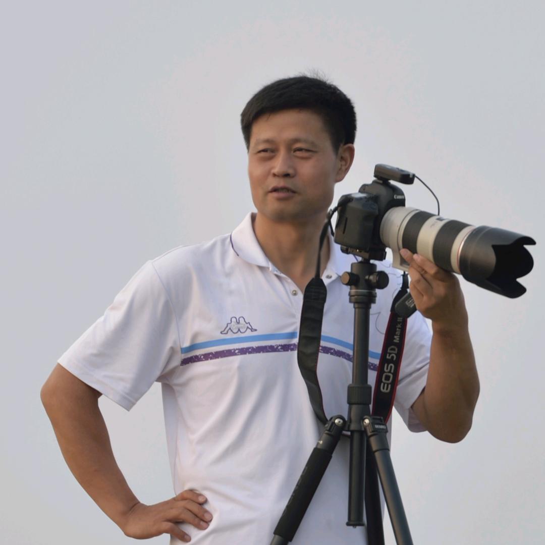 离离原上草