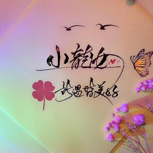 小龙女(礼花筒生产)