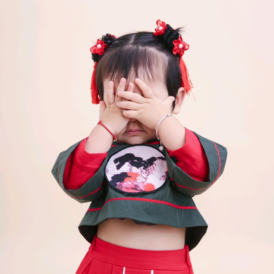 L燕子