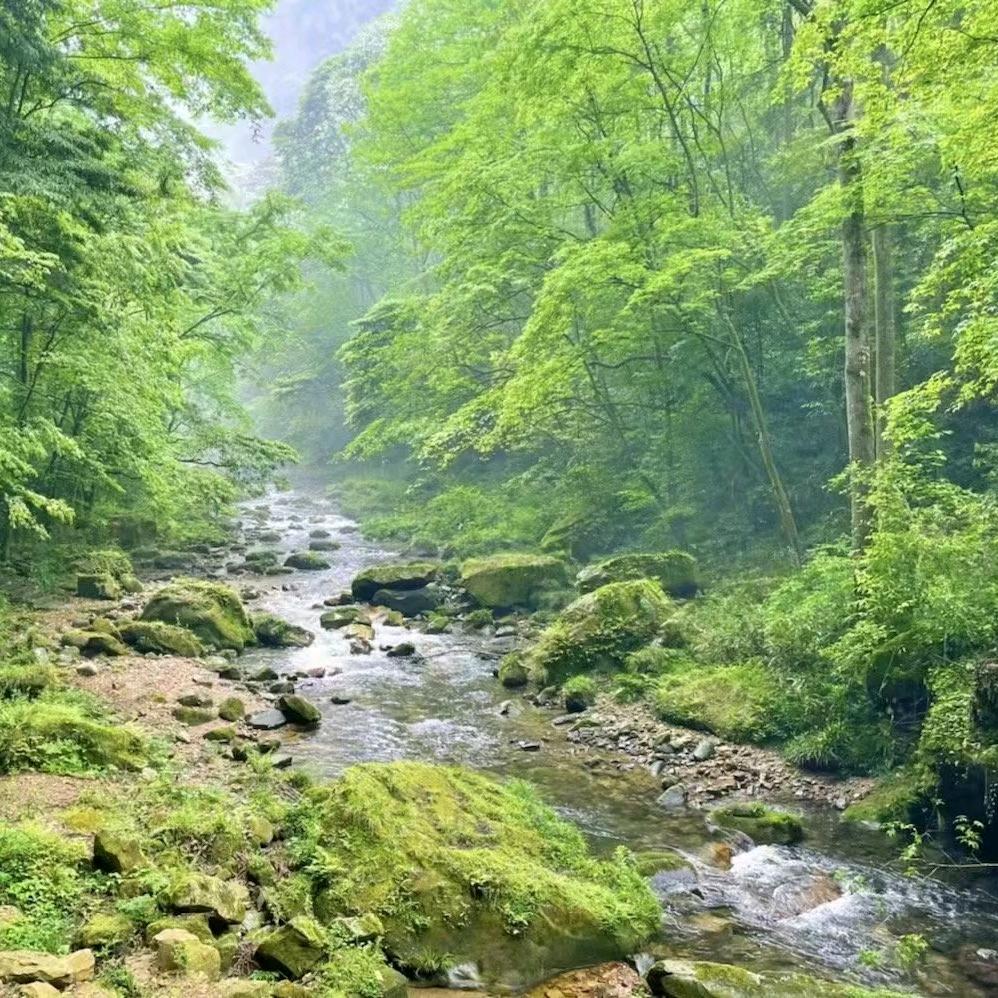 糊涂宇